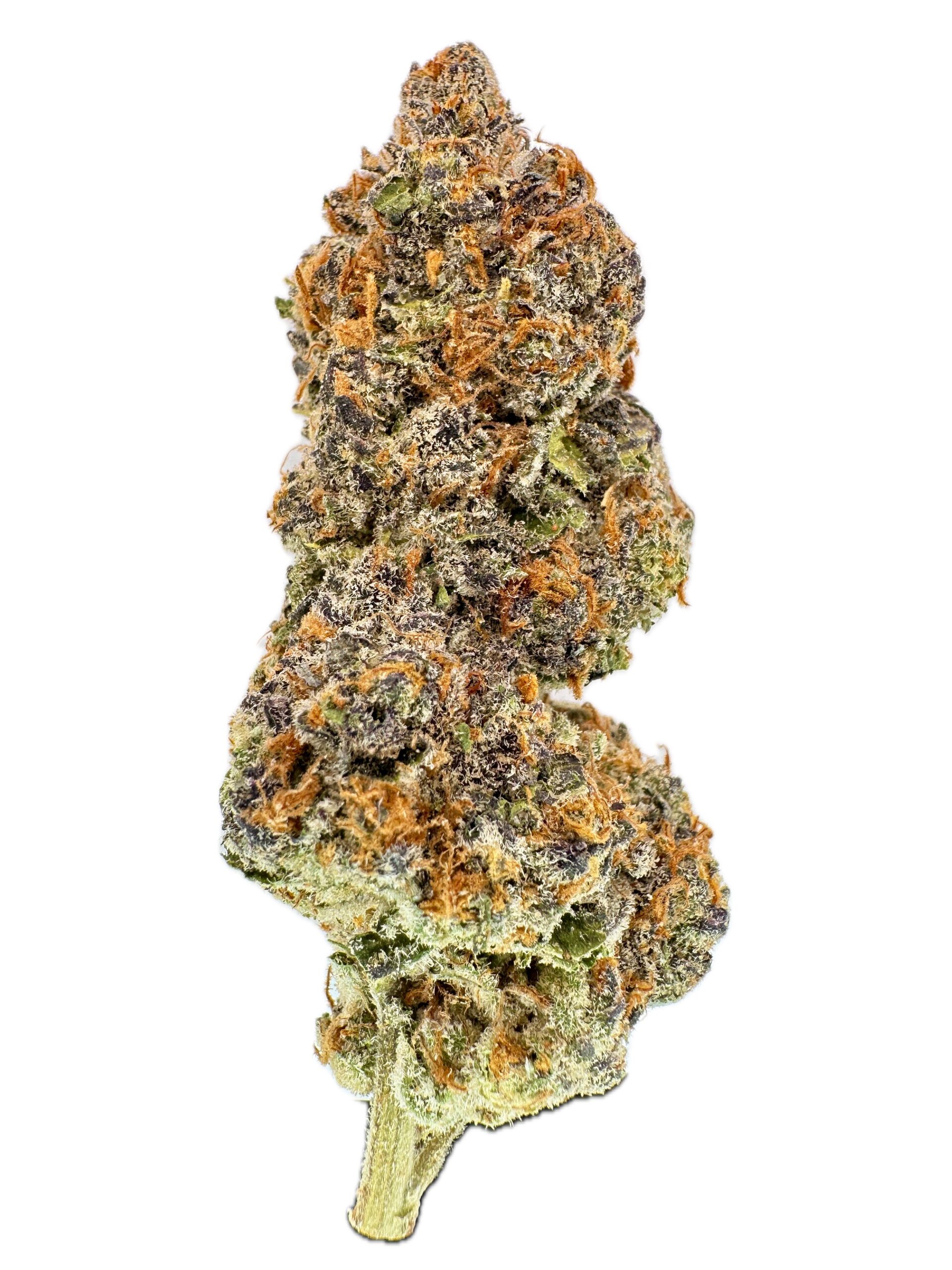 Tangerine Garlic – THC: 28% – Sativa Dominant Hybrid – 70% Sativa / 30% Indica