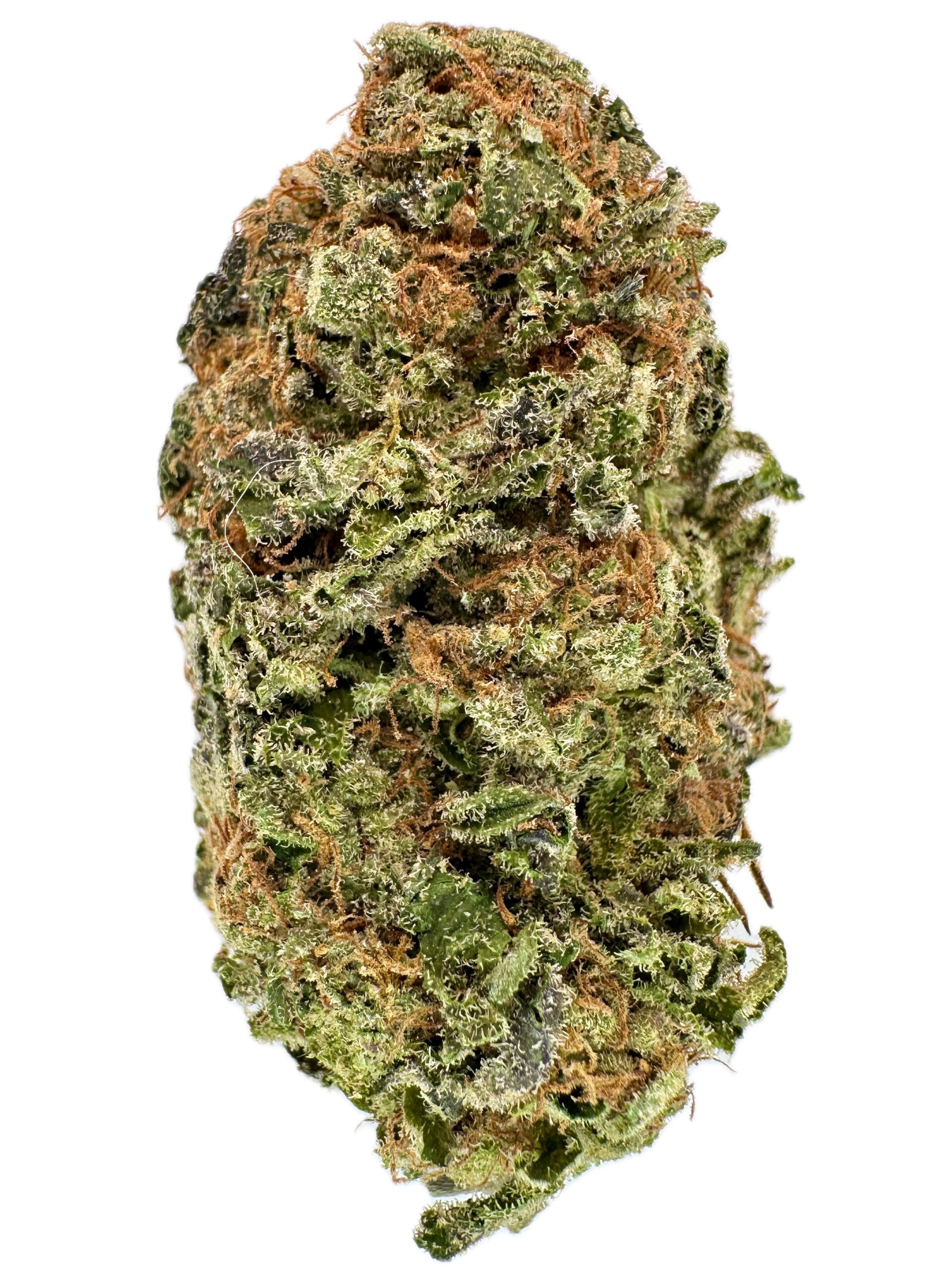 White Ice – THC: 28% – Hybrid – 50% Sativa / 50% Indica