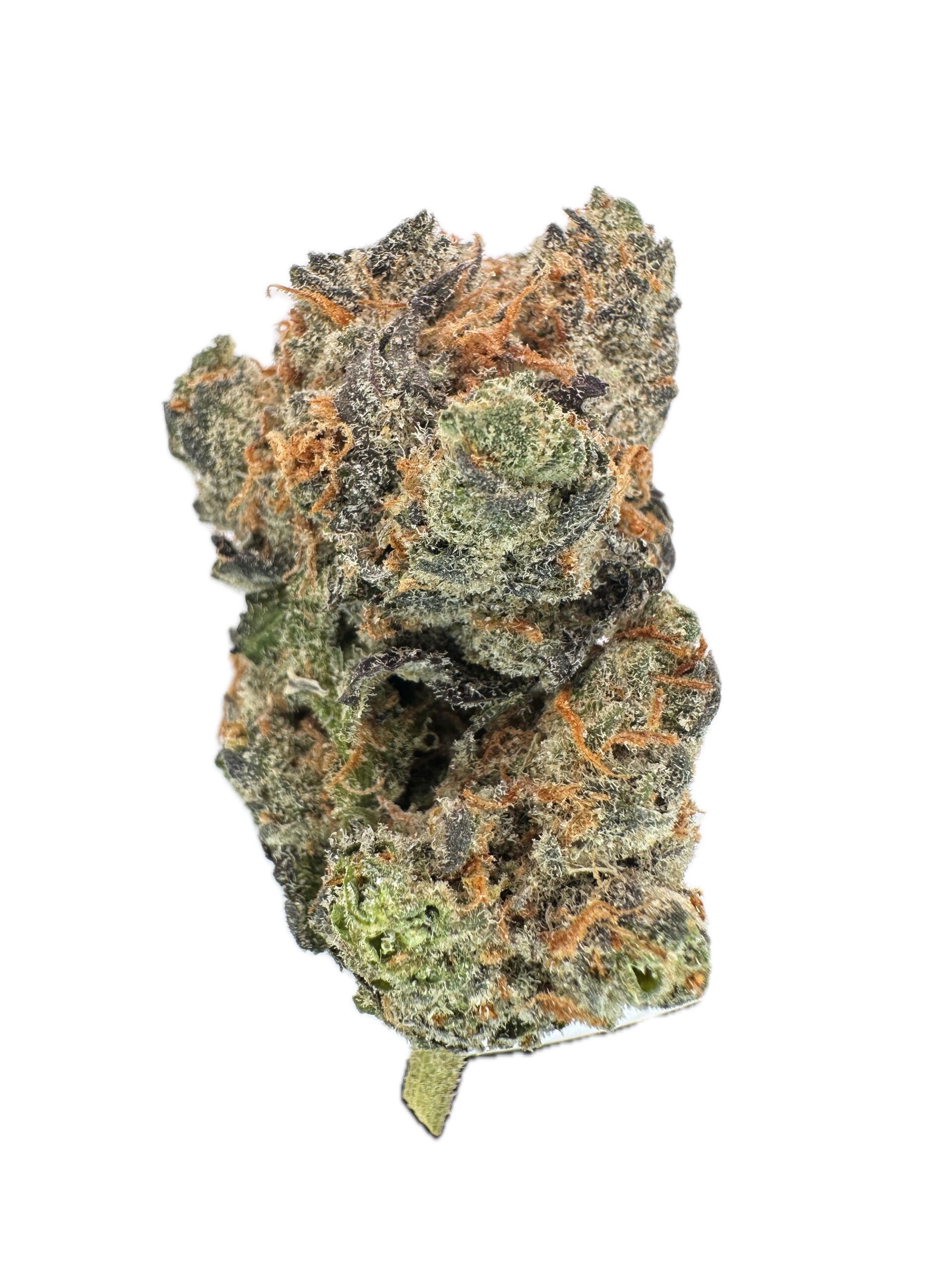 9lb Hammer – THC: 26% – Hybrid – 50% Sativa /50% Indica