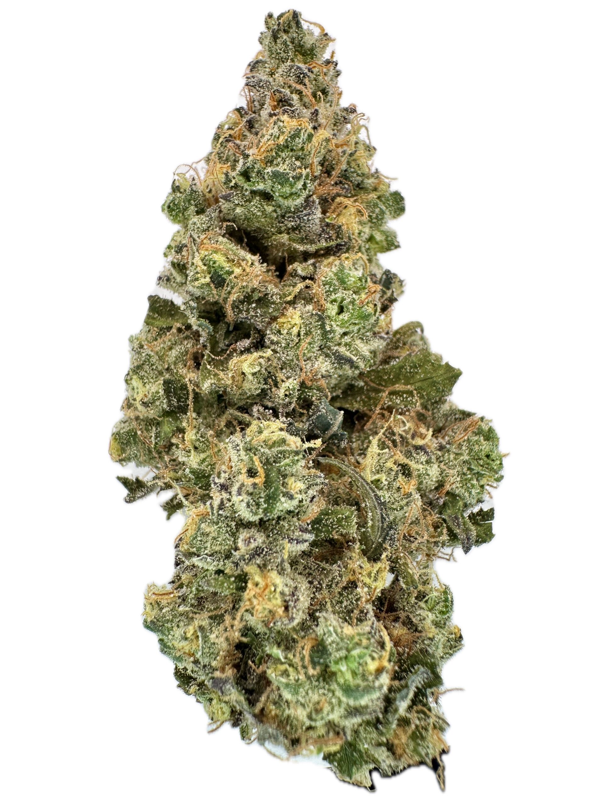 GMO x Ice Cream Cake – THC: 26% – Indica Dominant Hybrid – 80% Indica / 20% Sativa