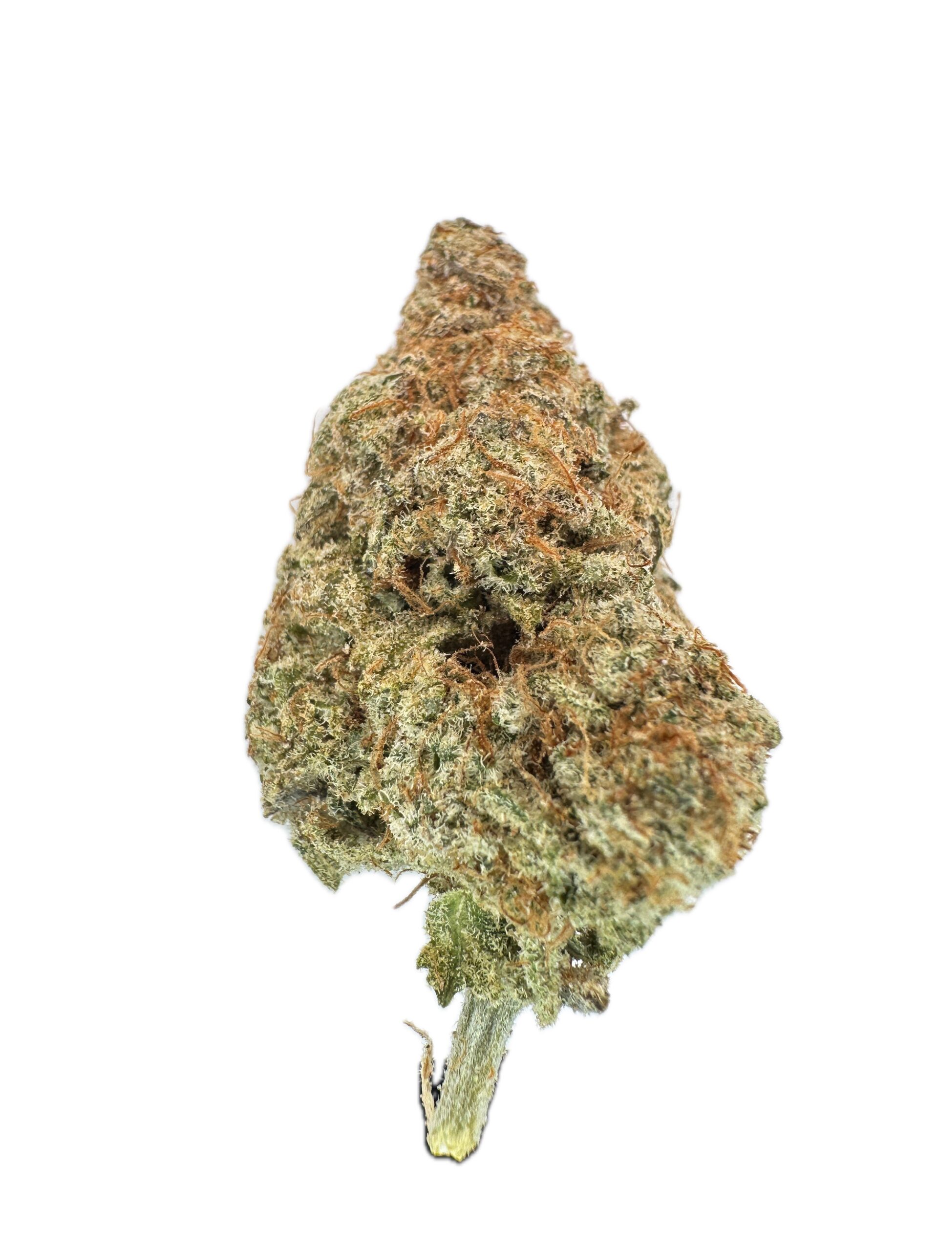 Judge Dread – THC: 20% – Hybrid – 50% Sativa /50% Indica