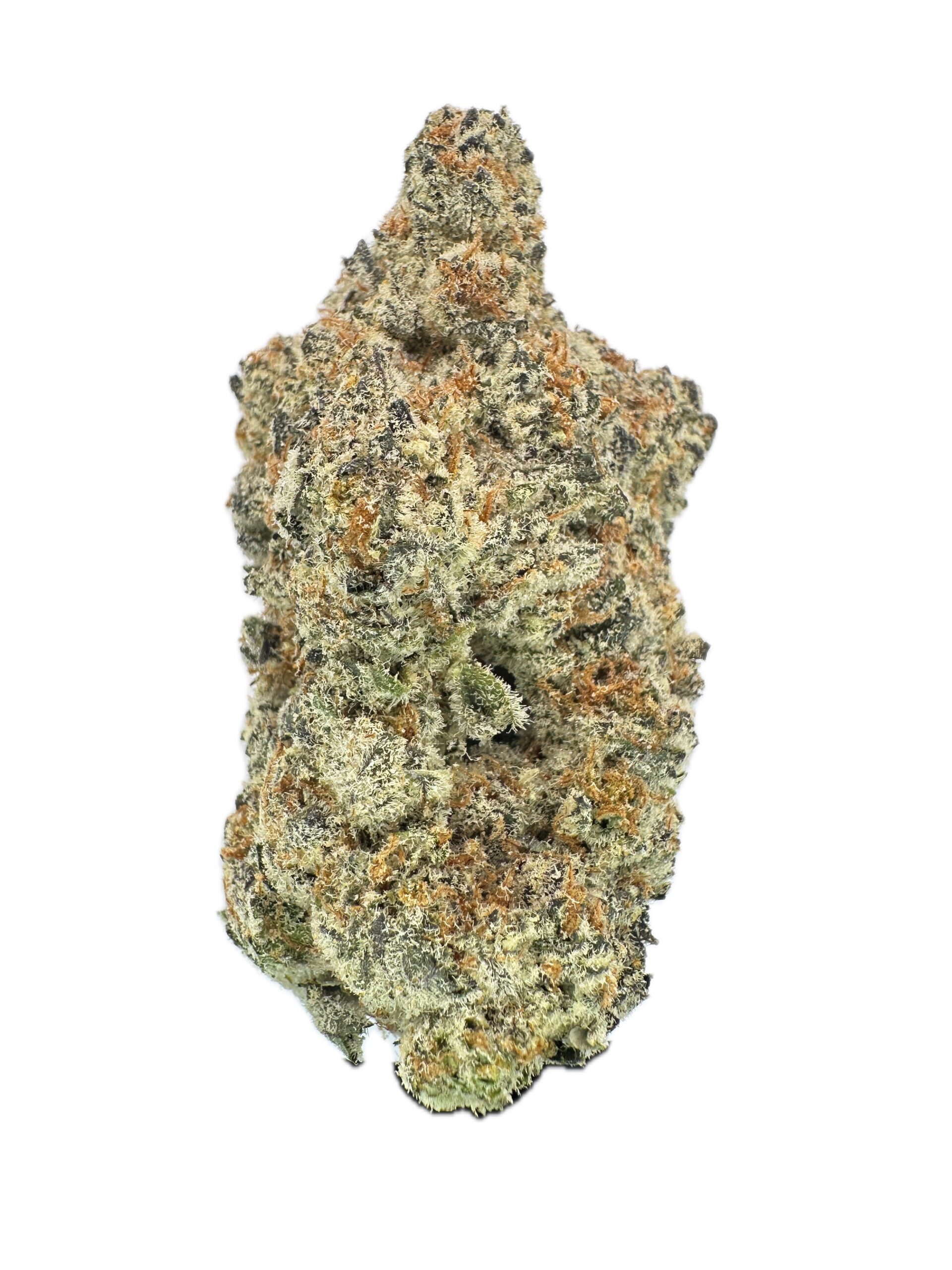 Short Circuit  – THC: 28% – Hybrid – 50% Sativa /50% Indica