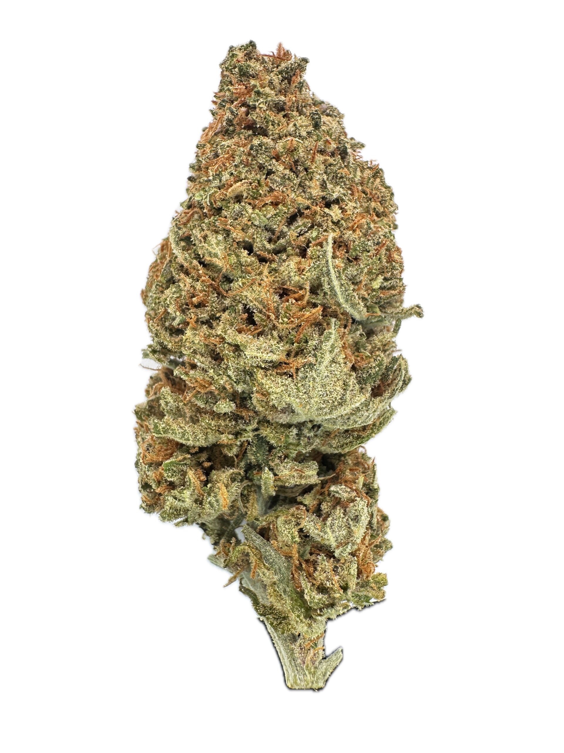 Tropical Storm – THC: 20% – Hybrid – 50% Sativa /50% Indica