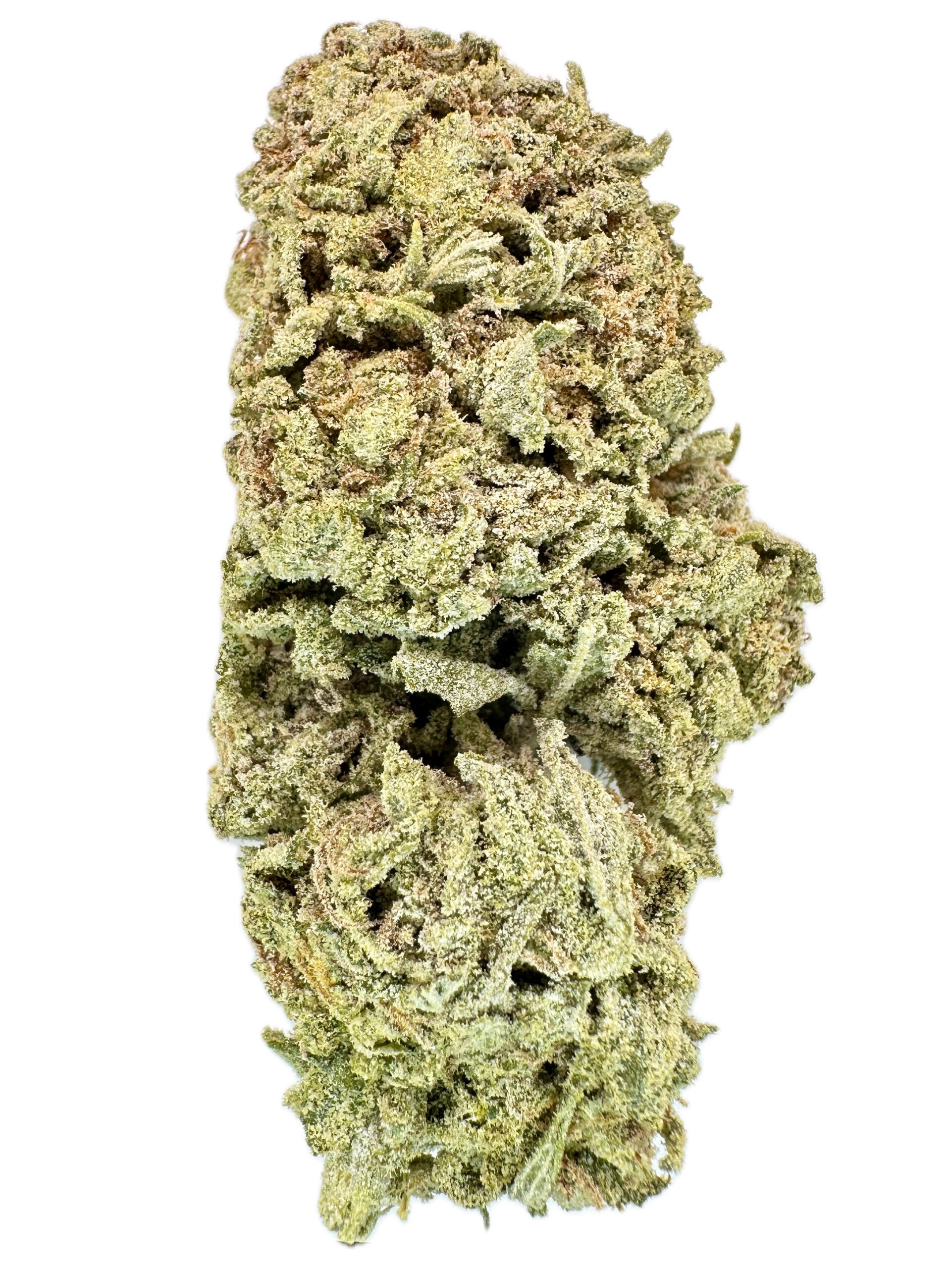 Alien Haze x Jack Herer x Rockstar – THC: 28% – Sativa Dominant Hybrid – 90% Sativa / 10% Indica  – Infused