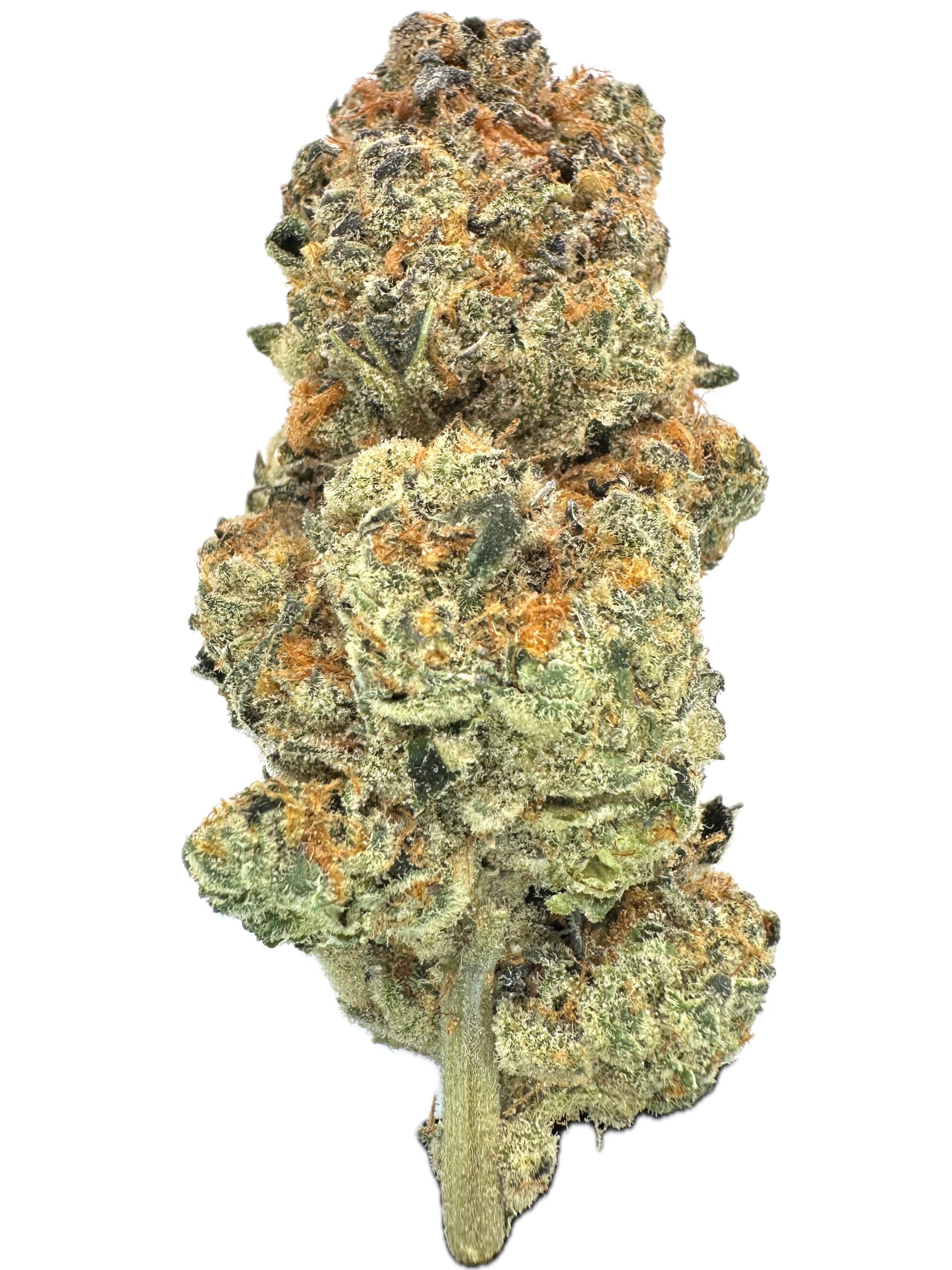 Berry Jane – THC: 28% – Sativa Dominant Hybrid – 70% Sativa / 30% Indica