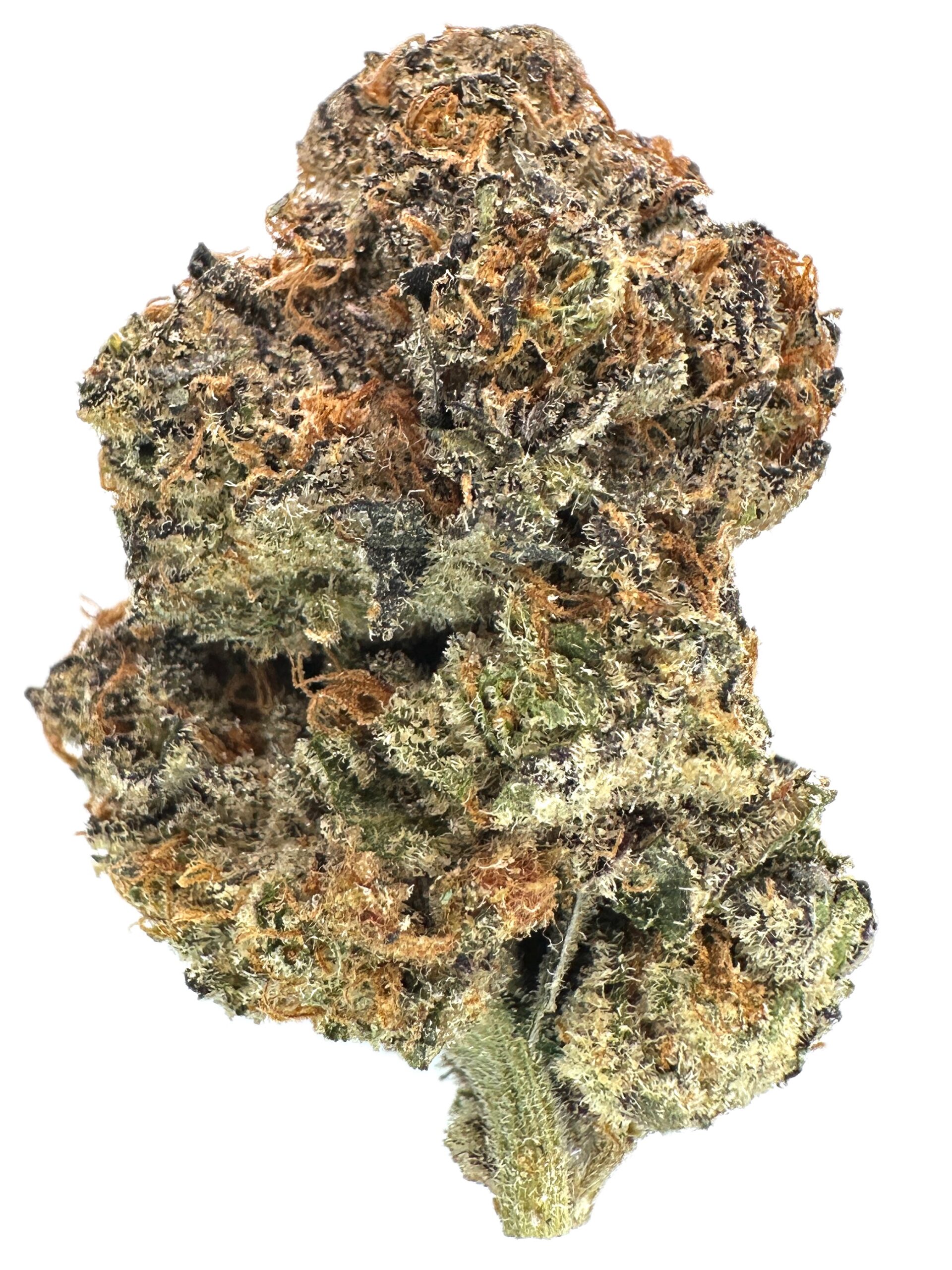 Big Red – THC: 28% – Sativa Dominant Hybrid – 70% Sativa / 30% Indica