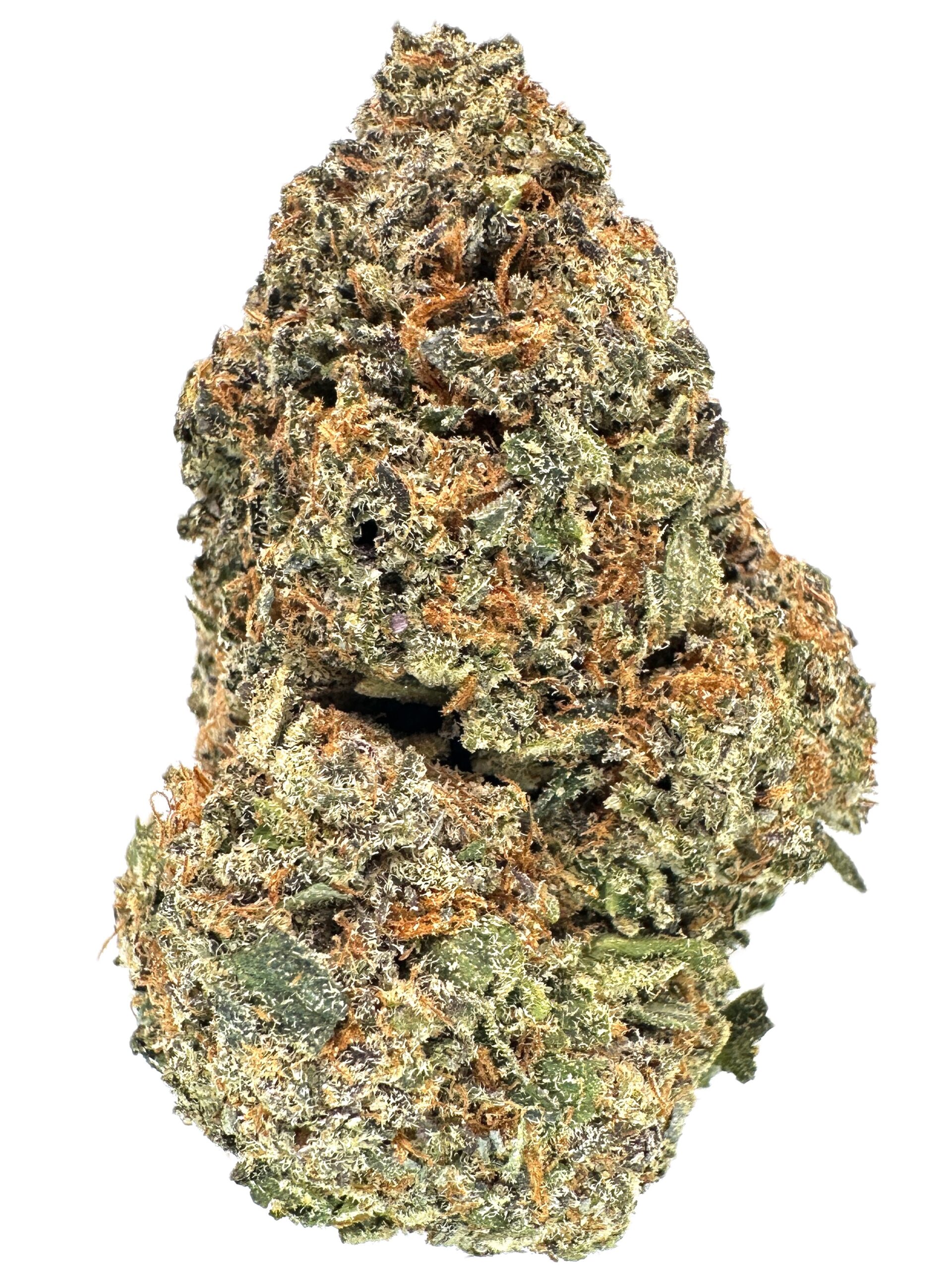 Master Cookies – Hybrid – THC: 22% – 50% Sativa /50% Indica