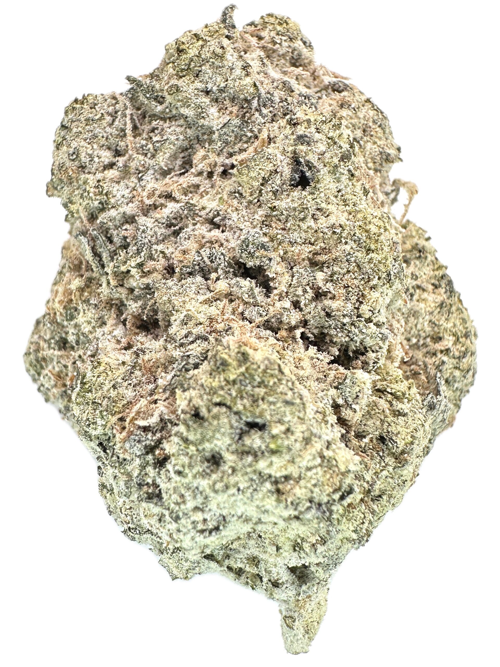 Tropicana Cookies x Lemon Haze x Jack Herer – infused – THC: 26% – Sativa Dominant Hybrid – 70% Sativa / 30% Indica