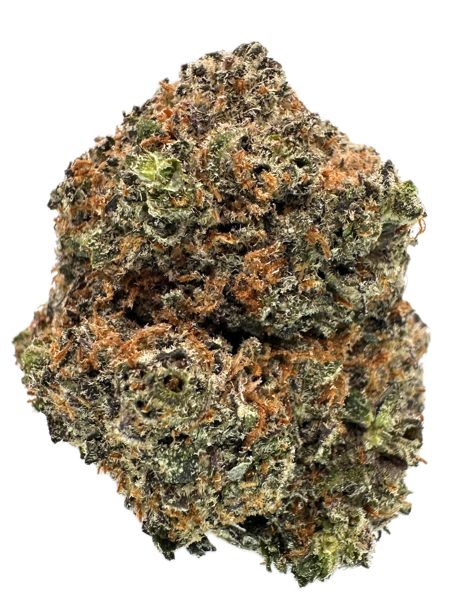 Cactus Chiller – THC: 24% – Sativa Dominant Hybrid – 70% Sativa / 30% Indica