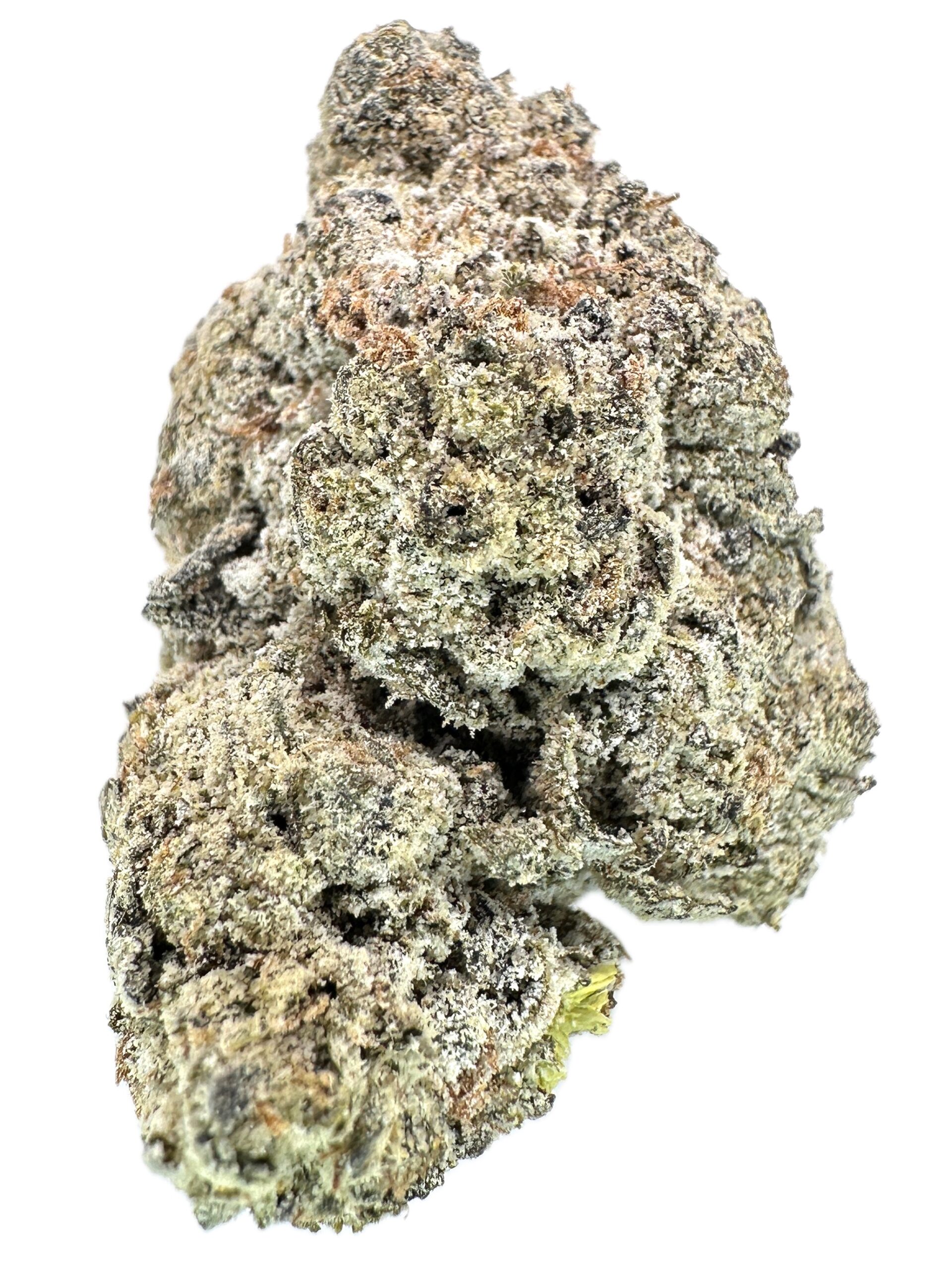 Falcon 9 x Root Beer x Cali Kush – infused – THC: 30% – Sativa Dominant Hybrid – 70% Sativa / 30% Indica