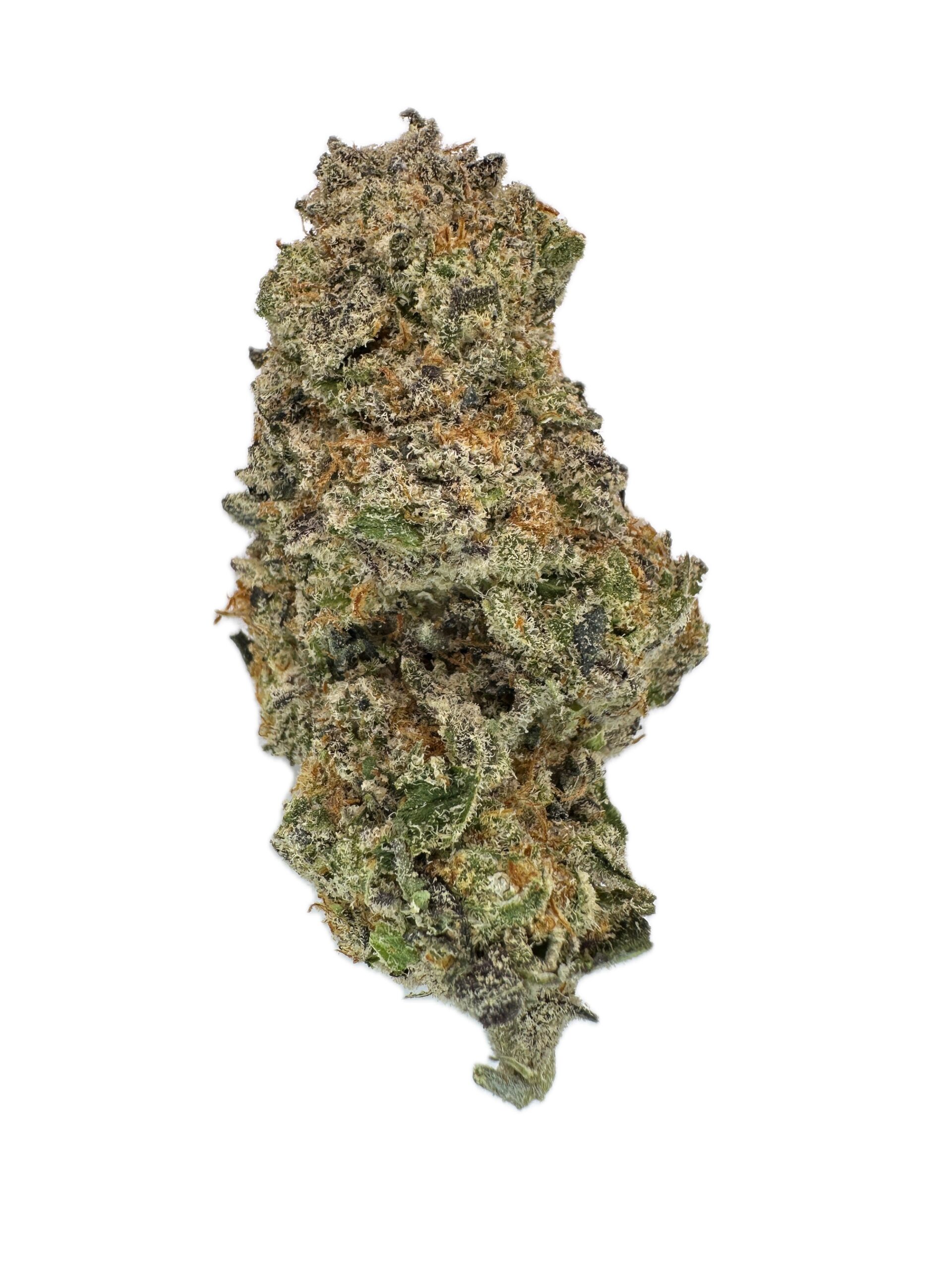 Trop Rock – THC: 30% – Sativa – 90% Sativa / 10% Indica