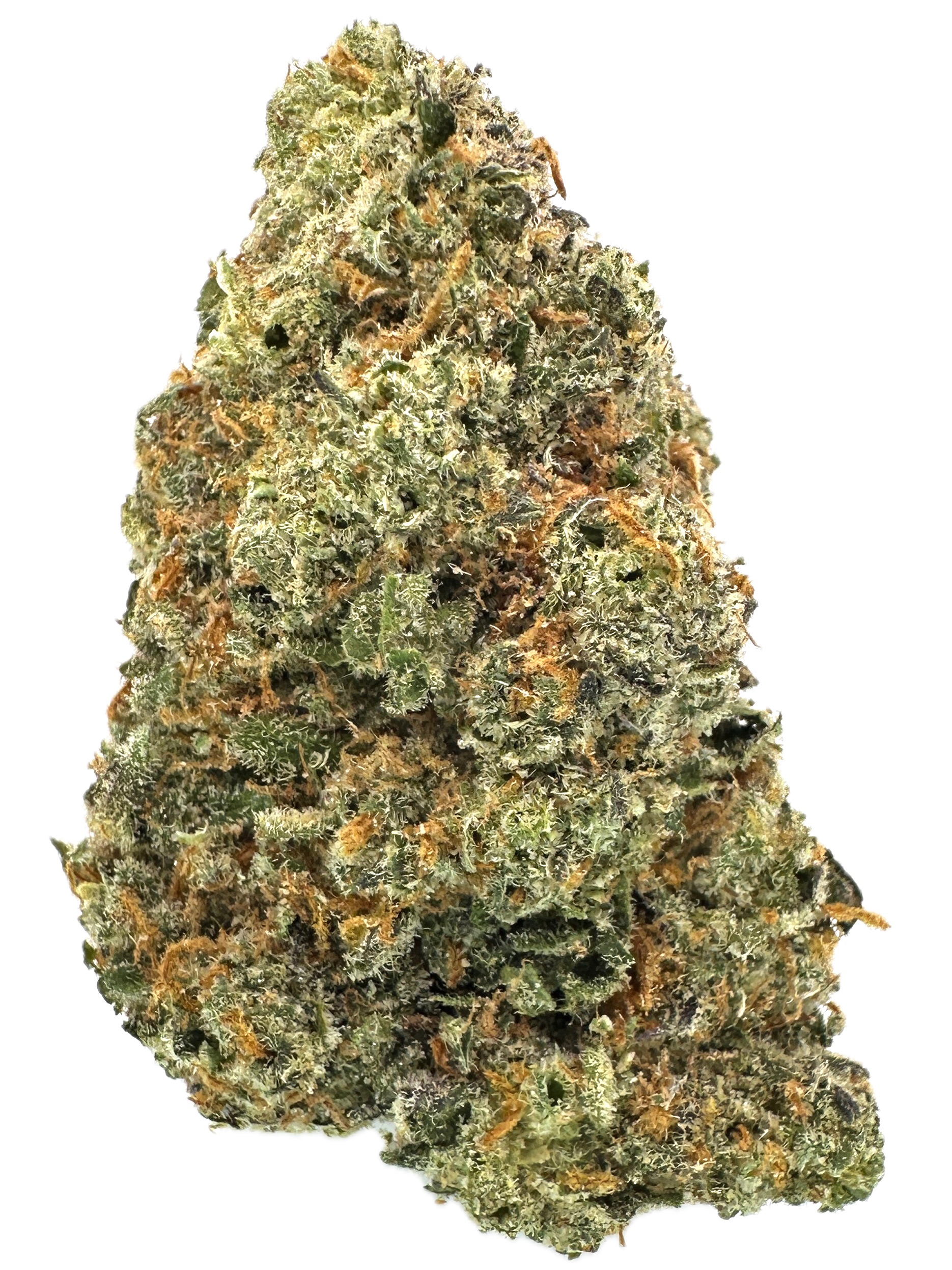 Death Scout – THC: 26% – Indica Dominant Hybrid – 70% Indica / 30% Sativa