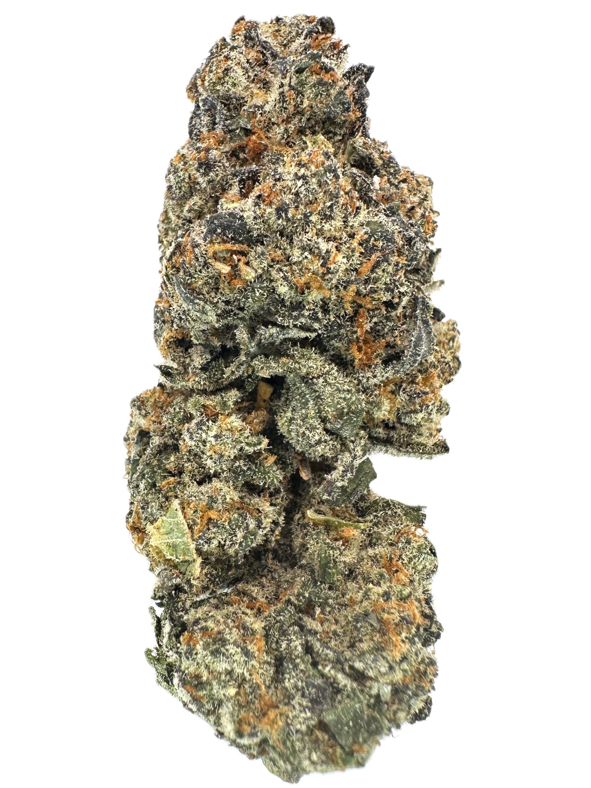 Kashmir Black No. 3 – THC: 24% – Indica Dominant Hybrid – 70% Indica / 30% Sativa