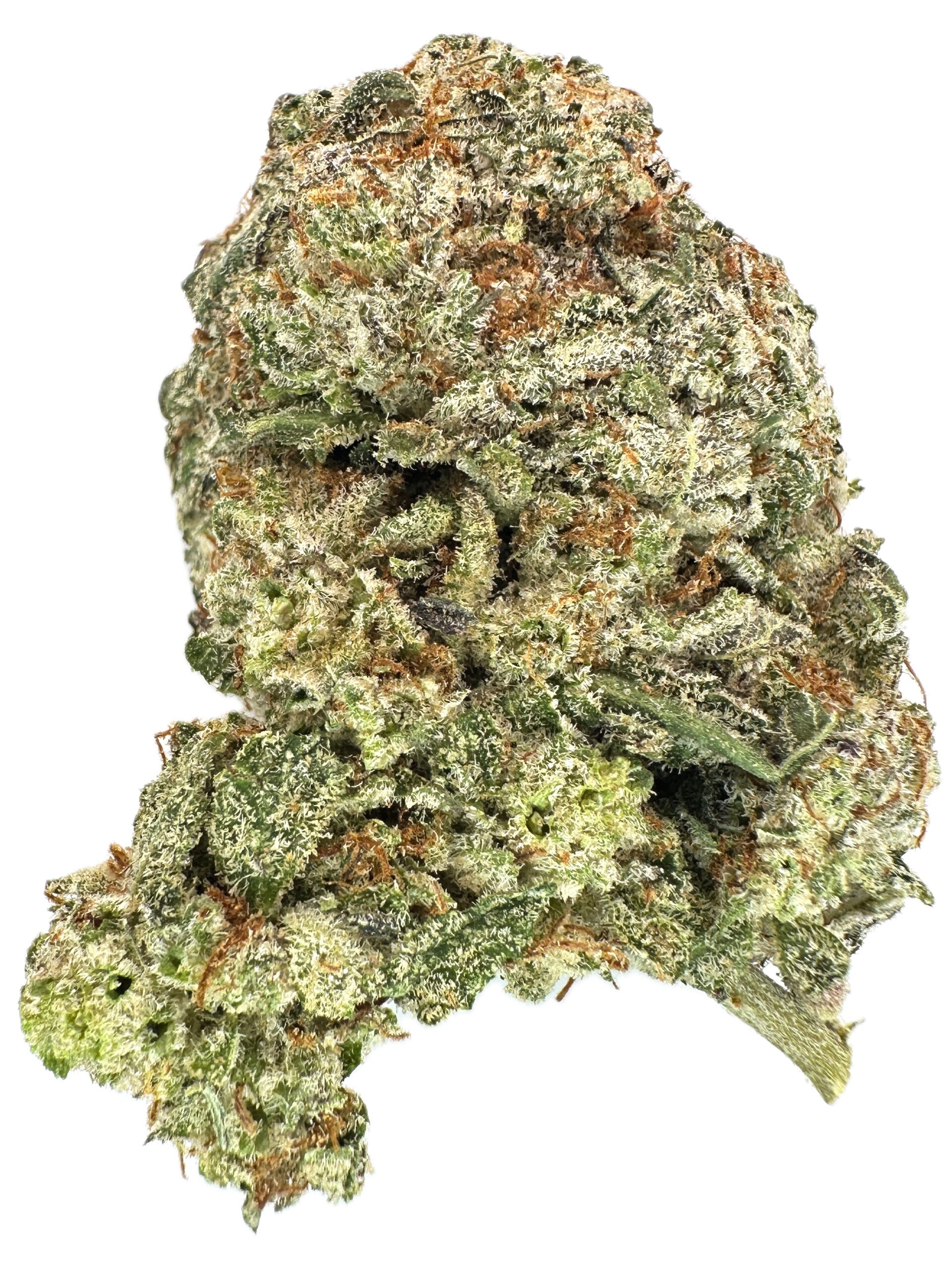 OZ Kush – THC: 20% – Indica Dominant Hybrid – 70% Indica / 30% Sativa