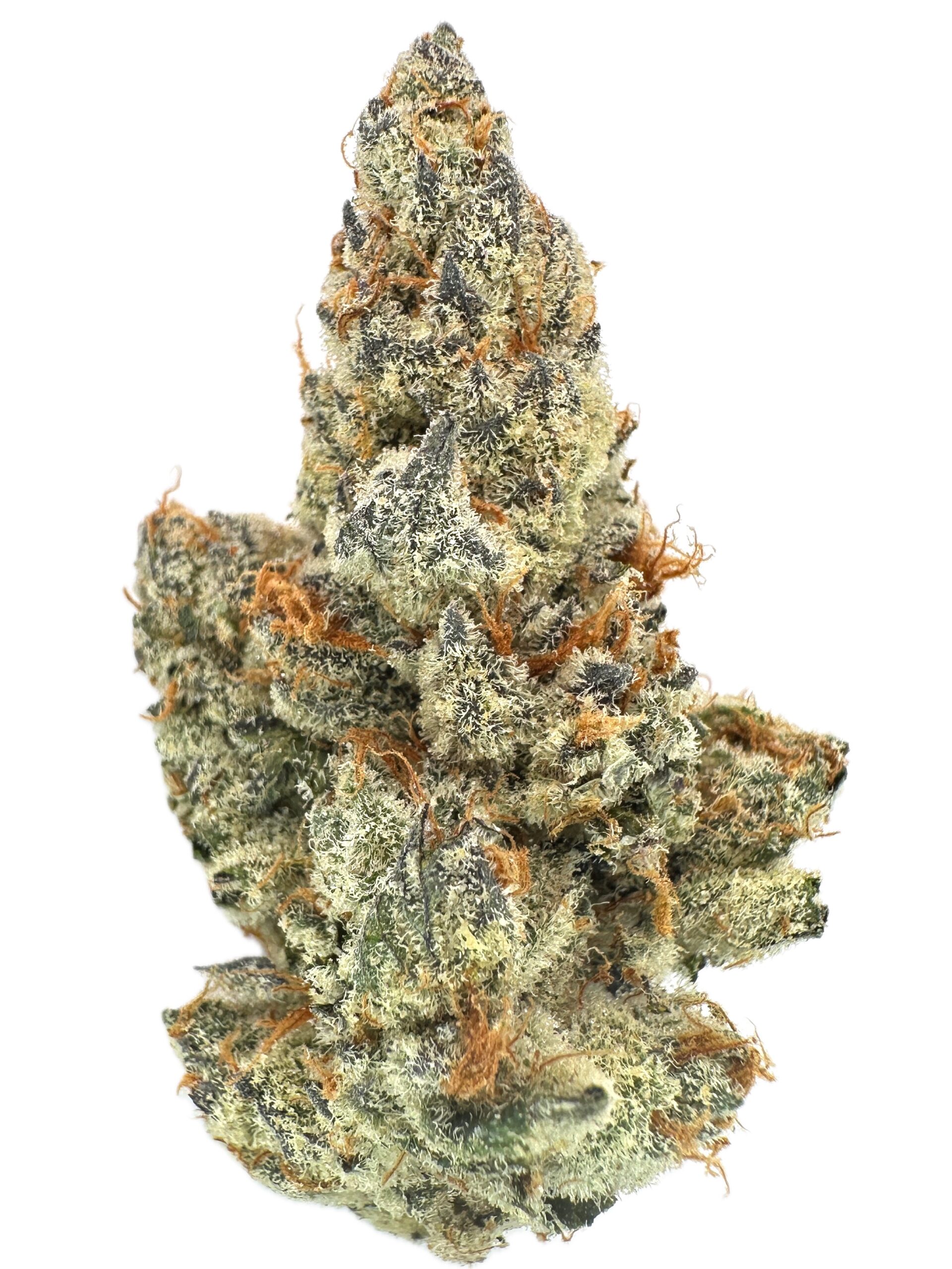 Shaqzilla – THC: 28% – Sativa dominan Hybrid – 80% Sativa / 20% Indica